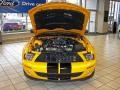 Grabber Orange - Mustang Shelby GT500 Coupe Photo No. 31