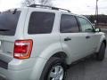 2008 Light Sage Metallic Ford Escape XLT V6 4WD  photo #3