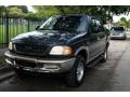 Medium Wedgewood Blue Metallic 1998 Ford Expedition Eddie Bauer 4x4