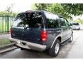 Medium Wedgewood Blue Metallic - Expedition Eddie Bauer 4x4 Photo No. 9