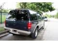 Medium Wedgewood Blue Metallic - Expedition Eddie Bauer 4x4 Photo No. 20