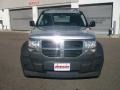 Bright Silver Metallic - Nitro SXT 4x4 Photo No. 2