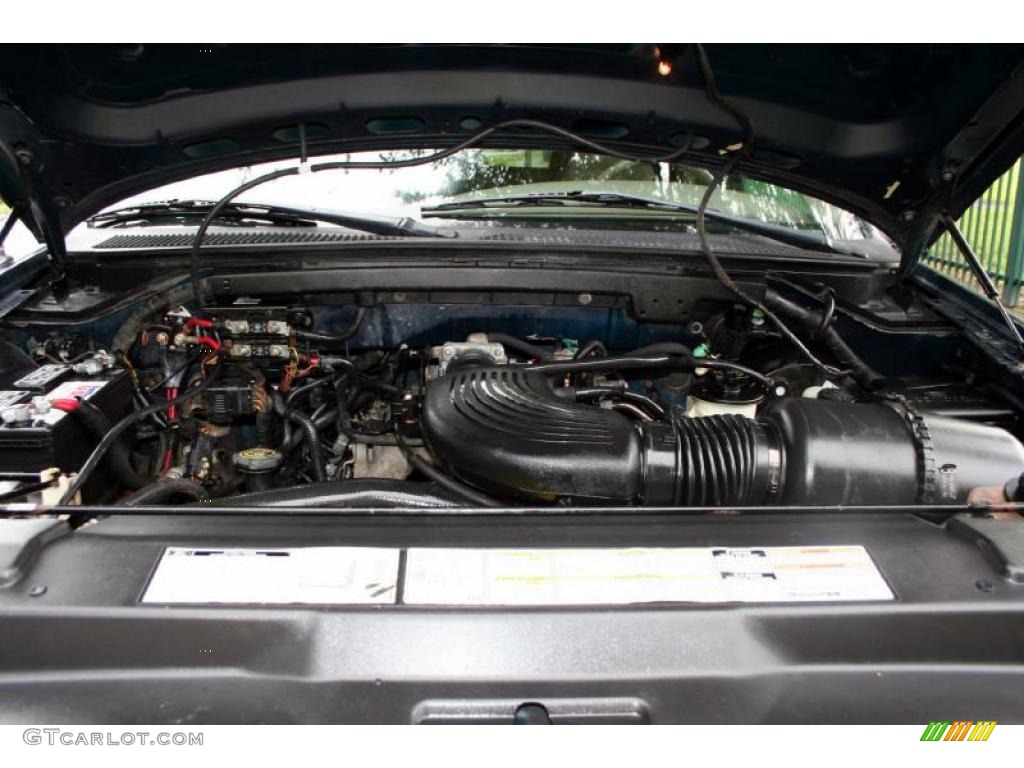 1998 Ford Expedition Eddie Bauer 4x4 5.4 Liter SOHC 16-Valve V8 Engine Photo #39262867