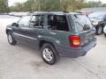 2003 Onyx Green Pearlcoat Jeep Grand Cherokee Laredo  photo #3