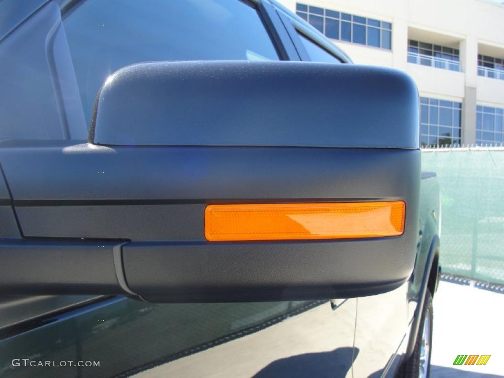 2010 F150 FX4 SuperCrew 4x4 - Tuxedo Black / Black photo #13