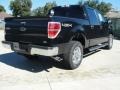 2010 Tuxedo Black Ford F150 XLT SuperCrew 4x4  photo #3