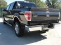 2010 Tuxedo Black Ford F150 XLT SuperCrew 4x4  photo #5