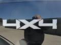 2010 Tuxedo Black Ford F150 XLT SuperCrew 4x4  photo #16