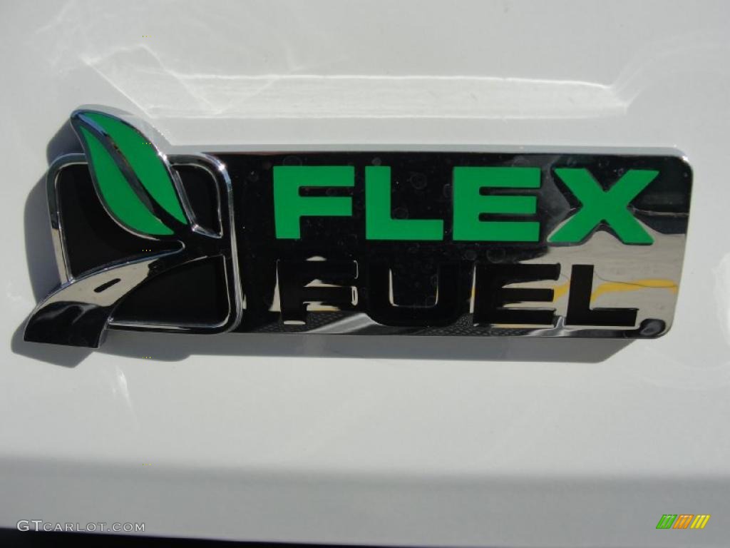 2010 F150 XLT SuperCrew 4x4 - Oxford White / Medium Stone photo #17
