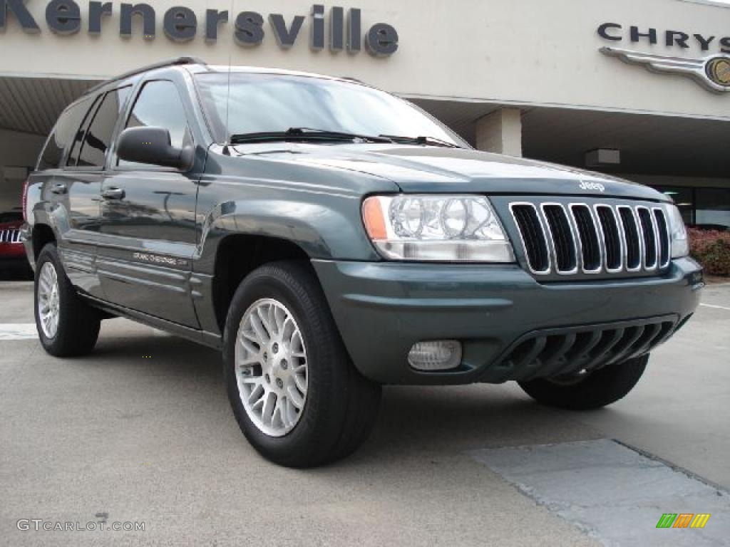 2003 Grand Cherokee Limited 4x4 - Onyx Green Pearlcoat / Taupe photo #1