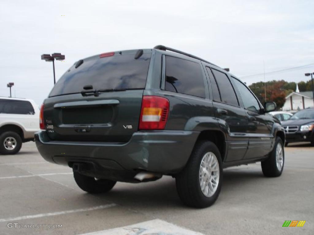 2003 Grand Cherokee Limited 4x4 - Onyx Green Pearlcoat / Taupe photo #3