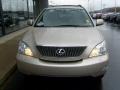 Savannah Beige Metallic - RX 330 AWD Photo No. 7