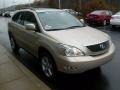 Savannah Metallic - RX 350 AWD Photo No. 6