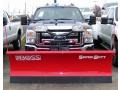 Dark Blue Pearl Metallic - F250 Super Duty XLT Regular Cab 4x4 Photo No. 9