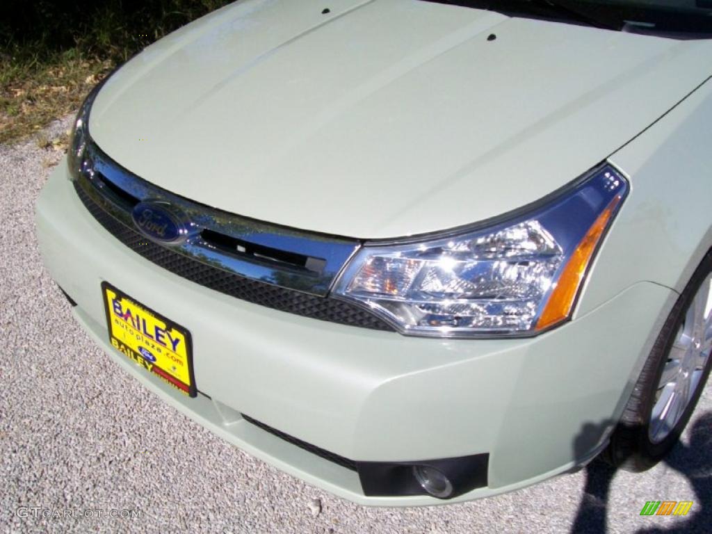 2010 Focus SEL Sedan - Natural Neutral Metallic / Medium Stone photo #1