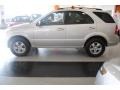 Bright Silver - Sorento LX Photo No. 3