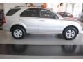 Bright Silver - Sorento LX Photo No. 8
