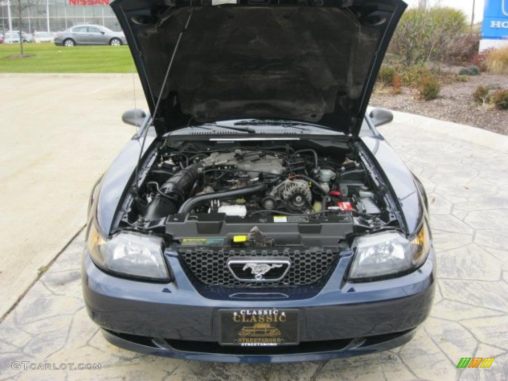 2003 Mustang V6 Coupe - True Blue Metallic / Dark Charcoal/Medium Graphite photo #6