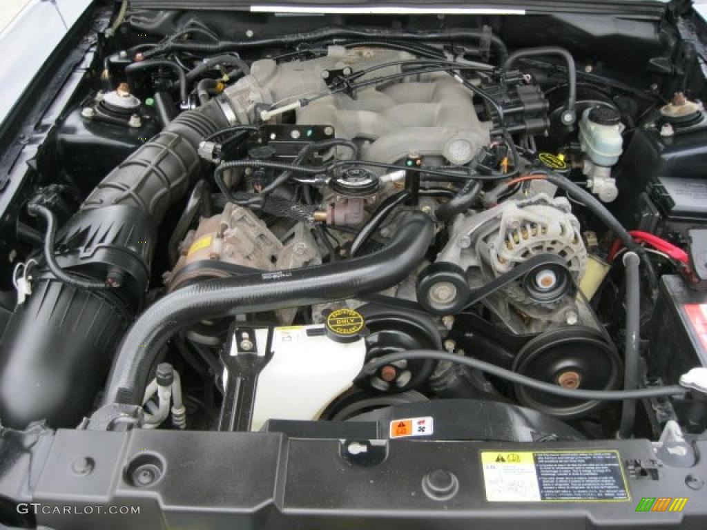 2003 Mustang V6 Coupe - True Blue Metallic / Dark Charcoal/Medium Graphite photo #7