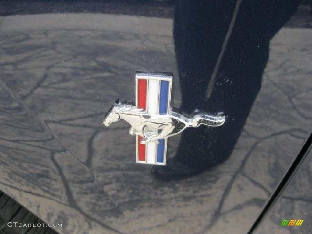 2003 Mustang V6 Coupe - True Blue Metallic / Dark Charcoal/Medium Graphite photo #11