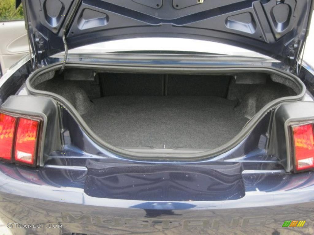 2003 Mustang V6 Coupe - True Blue Metallic / Dark Charcoal/Medium Graphite photo #12
