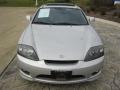 Sterling Silver Metallic - Tiburon GS Photo No. 5