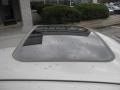 Spruce Green Metallic - Taurus SES Sedan Photo No. 18