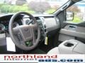 2010 Ingot Silver Metallic Ford F150 XLT SuperCab 4x4  photo #10