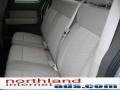 2010 Ingot Silver Metallic Ford F150 XLT SuperCab 4x4  photo #15
