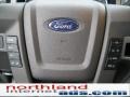 2010 Ingot Silver Metallic Ford F150 XLT SuperCab 4x4  photo #19