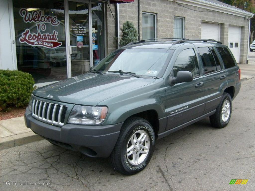2004 Grand Cherokee Laredo 4x4 - Onyx Green Pearl / Taupe photo #1