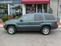 2004 Onyx Green Pearl Jeep Grand Cherokee Laredo 4x4  photo #2