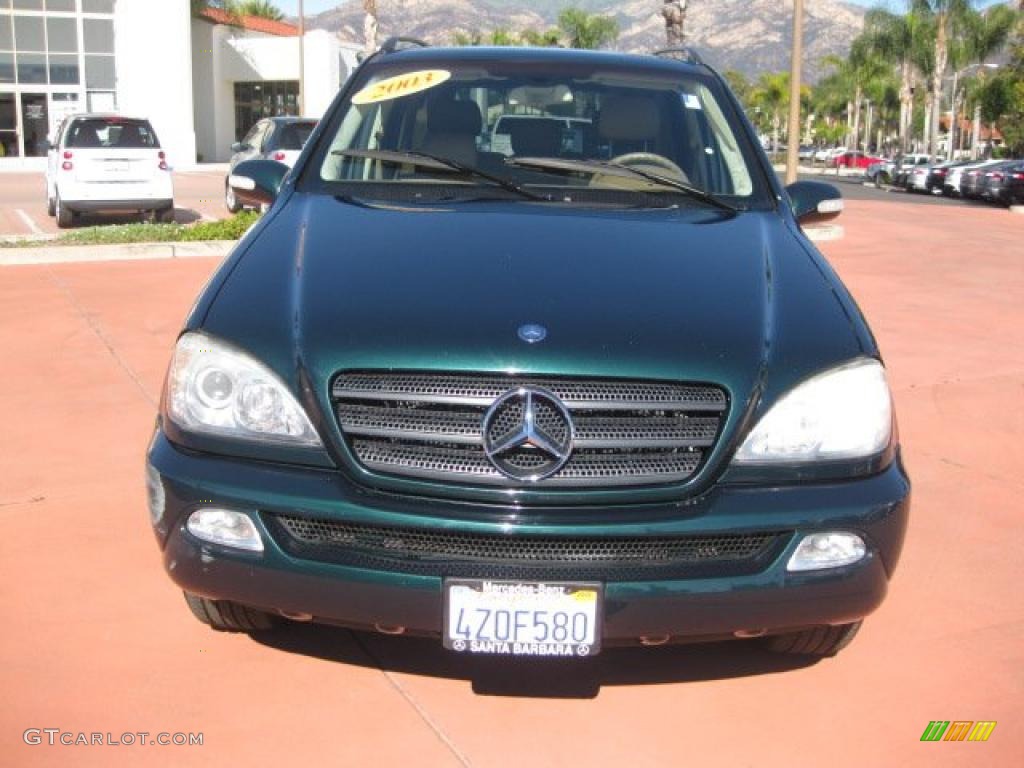 Everest Green Metallic 2003 Mercedes-Benz ML 320 4Matic Exterior Photo #39302294