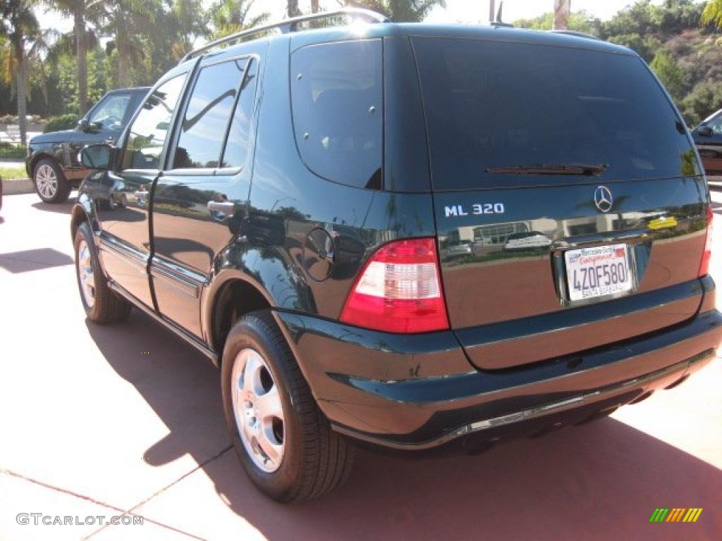 2003 Everest Green Metallic MercedesBenz ML 320 4Matic 39258372 Photo
