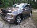 Desert Brown Metallic - TrailBlazer LT 4x4 Photo No. 13