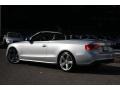 Ice Silver Metallic - S5 3.0 TFSI quattro Cabriolet Photo No. 11