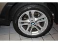 Platinum Bronze Metallic - X3 3.0si Photo No. 14