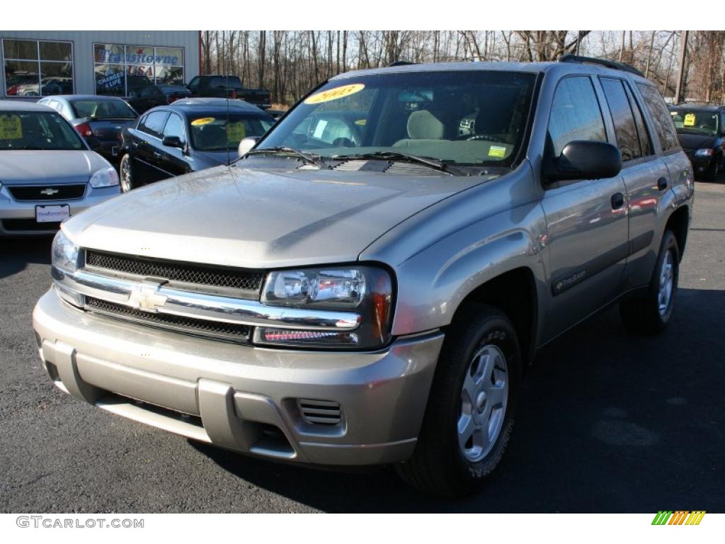 2003 TrailBlazer LS 4x4 - Light Pewter Metallic / Medium Pewter photo #1