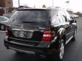 Black - ML 350 4Matic Photo No. 8