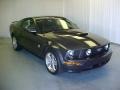 2009 Alloy Metallic Ford Mustang GT Premium Coupe  photo #1