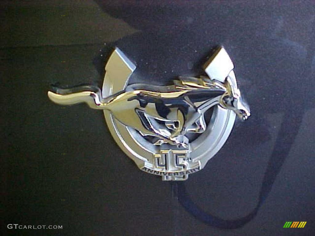 2009 Ford Mustang GT Premium Coupe Marks and Logos Photo #39324969