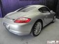 Arctic Silver Metallic - Cayman S Photo No. 16