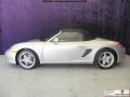 Arctic Silver Metallic 2010 Porsche Boxster Standard Boxster Model Exterior