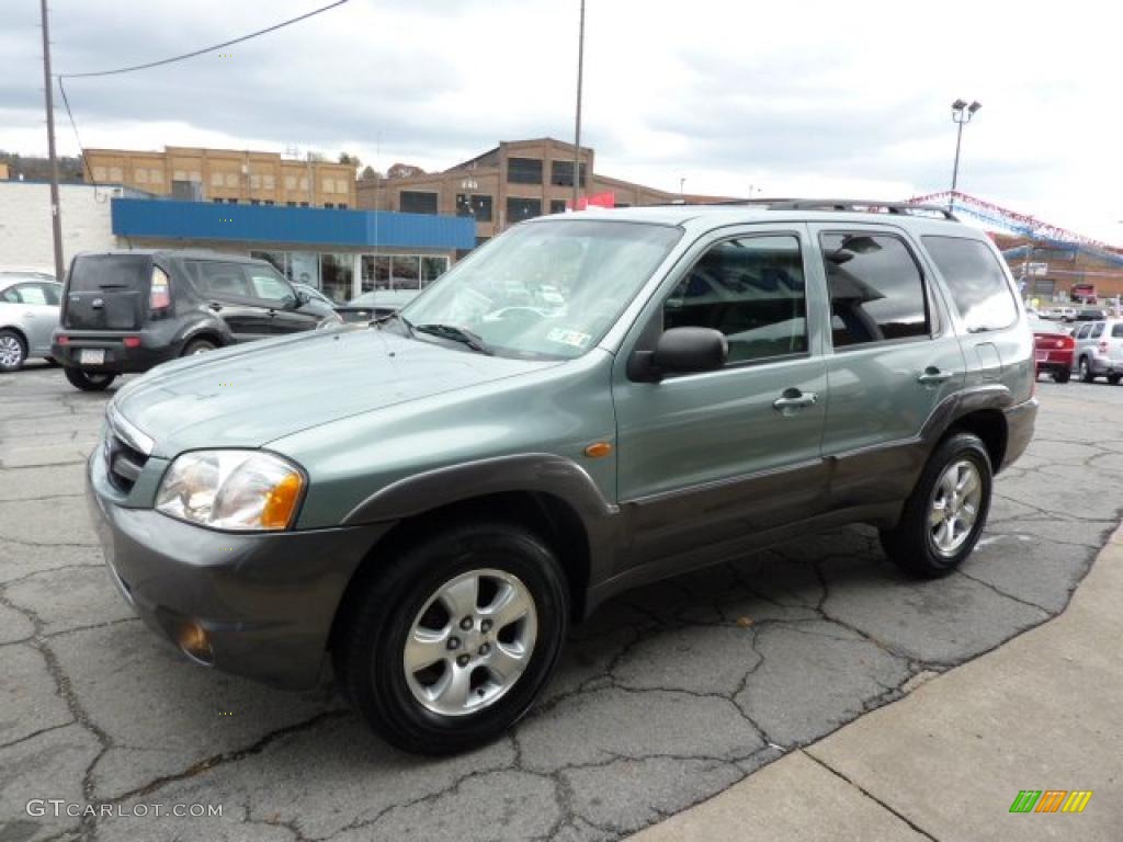 2003 Tribute ES-V6 4WD - Light Cypress Green Metallic / Dark Flint Gray photo #5