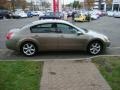 Spirited Bronze Pearl - Maxima 3.5 SE Photo No. 5
