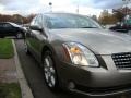 Spirited Bronze Pearl - Maxima 3.5 SE Photo No. 6