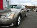 Spirited Bronze Pearl - Maxima 3.5 SE Photo No. 7
