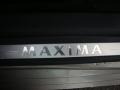 Spirited Bronze Pearl - Maxima 3.5 SE Photo No. 33