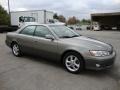 Antique Sage Pearl - ES 300 Sedan Photo No. 6