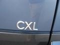 Opal Blue - Rendezvous CXL AWD Photo No. 19